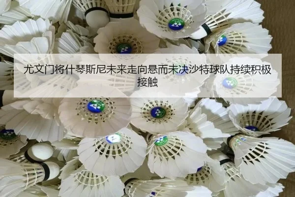 尤文门将什琴斯尼未来走向悬而未决沙特球队持续积极接触