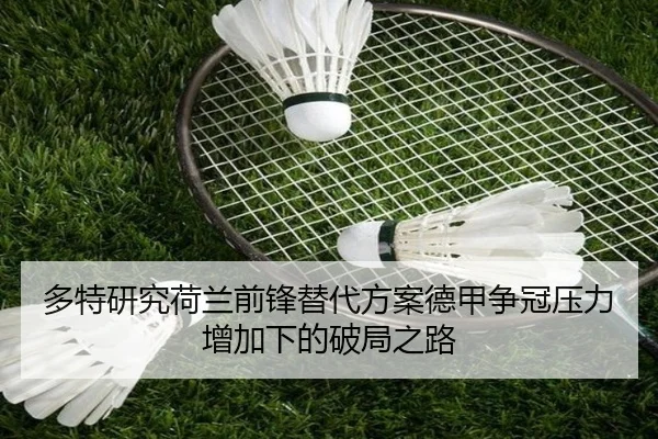 多特研究荷兰前锋替代方案德甲争冠压力增加下的破局之路